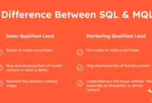 How SQLs Differ from Other Lead Types in Sales Strategy
